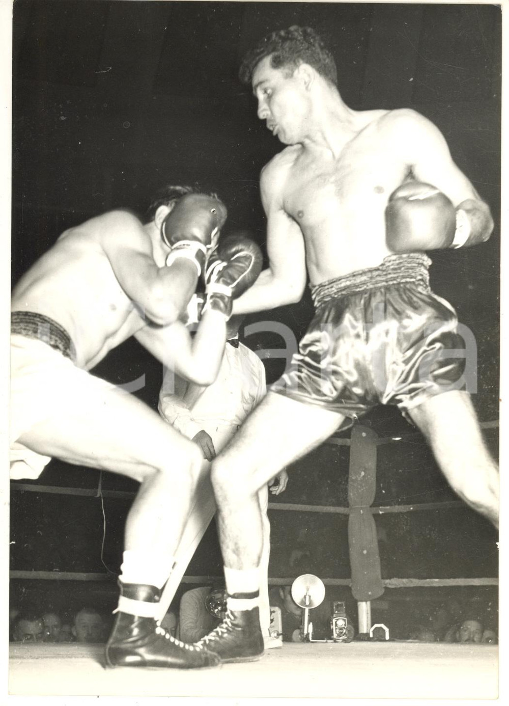 1956 BOXE BOLOGNA Europei Pesi Welter - Emilio MARCONI batte ValÃ¨re BENEDETTO Fotografia d'epoca, con didascalia coeva al verso.  CONDIZIONI: FAIR (difetti di stampa) FORMATO: 13x18 cm    originale e autentica 1