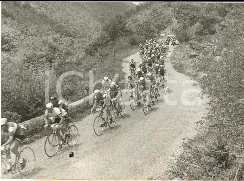 1960 TOUR DE FRANCE Etape MILLAU-AVIGNON Le peloton dans les gorges de JONTE Fotografia d'epoca con didascalia coeva.  CONDIZIONI: GFORMATO: 18x13 cm     originale e autentica 1