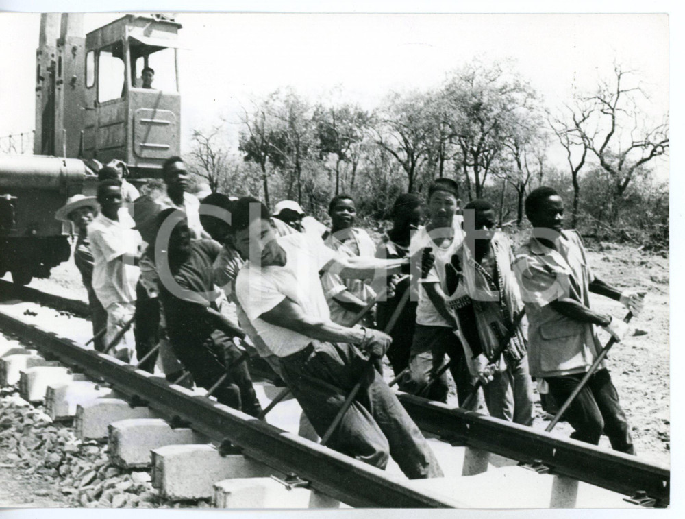 1970 ca LINEA FERROVIARIA DI TAZARA (AFRICA) Ingegneri cinesi dirigono i lavori Fotografia d'epoca con didascalia coeva.  CONDIZIONI: FAIR (bassa qualit&agrave; di stampa) FORMATO: 18x13 cm     originale e autentica 1