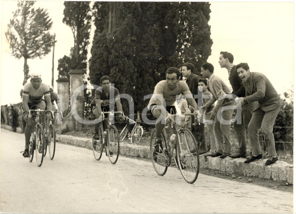 1957 CICLISMO GIRO D'ITALIA 11^ tappa Nino DEFILIPPIS Rik VAN STEENBERGEN Foto