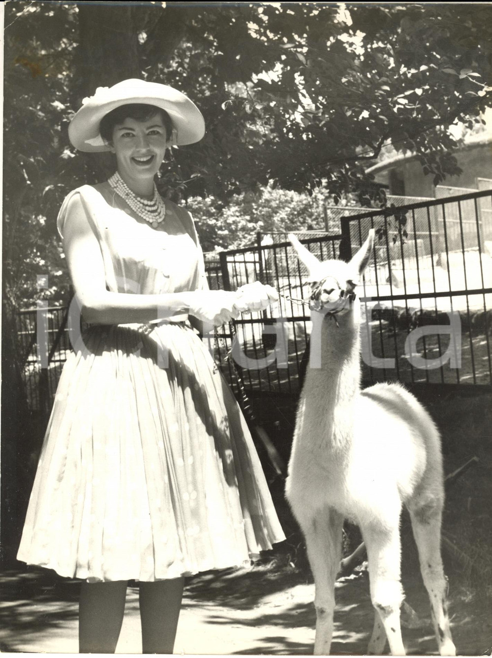 1960 ROMA Soprano Anna MOFFO in visita allo zoo - Fotografia 18x24 cm