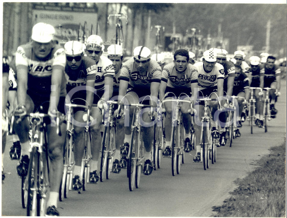 1967 CICLISMO GIRO D'ITALIA Tappa TREVIGLIO-ALESSANDRIA Passaggio gruppo *Foto