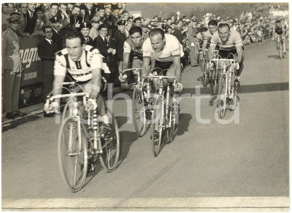 1960 VARESE CICLISMO TRE VALLI VARESINE Nino DEFILIPPIS vince in volata *Foto
