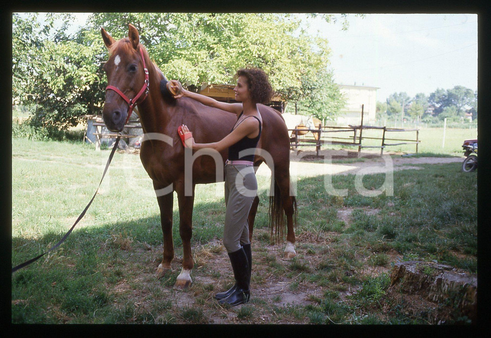 35mm vintage slide* 1995 ca COSTUME Alessandra MARTINES striglia un cavallo