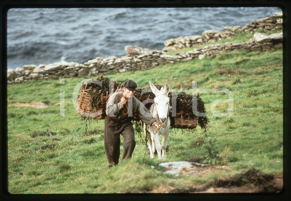 35mm vintage slide*1992 FAR AND AWAY - Tom CRUISE in una scena del film (2)
