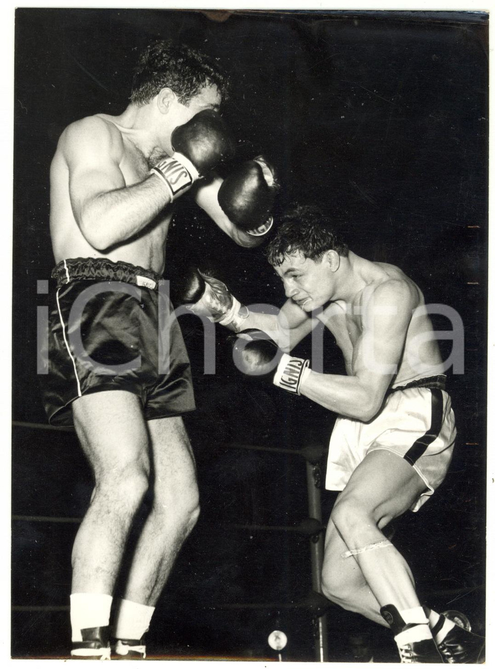 1957 MILANO - BOXE Titolo europeo pesi leggeri - Duilio LOI batte Felix CHIOCCA