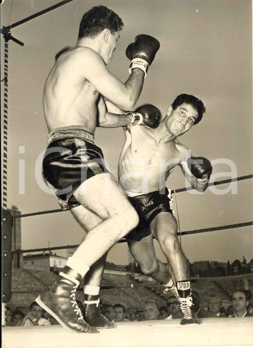 1955 BOLOGNA BOXE Incontro tra Luigi MARCONI - Emilio COLUZZI *Foto 13x18