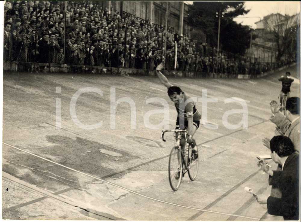 1955 CICLISMO MILANO-TORINO Cleto MAULE vittorioso al traguardo *Foto 24x18 cm