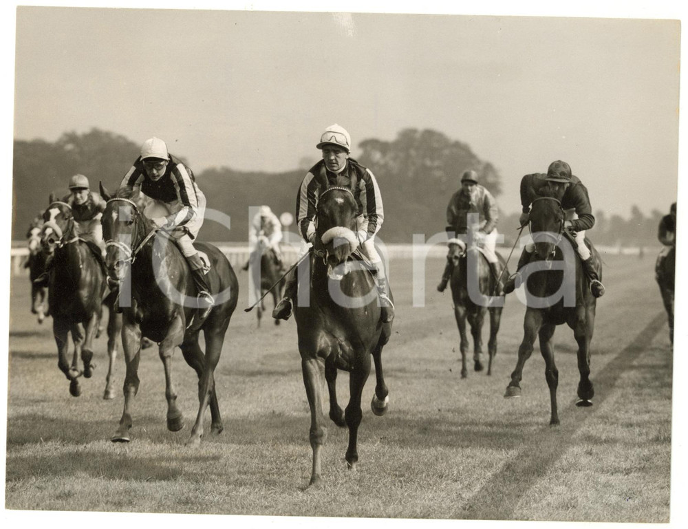 1957 KEMPTON PARK Sirenia Stakes - Manny MERCER winning on ZANZIBAR *Photo 20x15 Fotografia d'epoca, con didascalia coeva al verso, stampata su carta sottile. CONDIZIONI: FAIR (lieve increspatura al margine sinistro, lievi piegature al lato superiore, difetti di stampa, piccola sovraimpressione al lato inferiore)FORMATO: 20x15 cm    originale e autentica 1