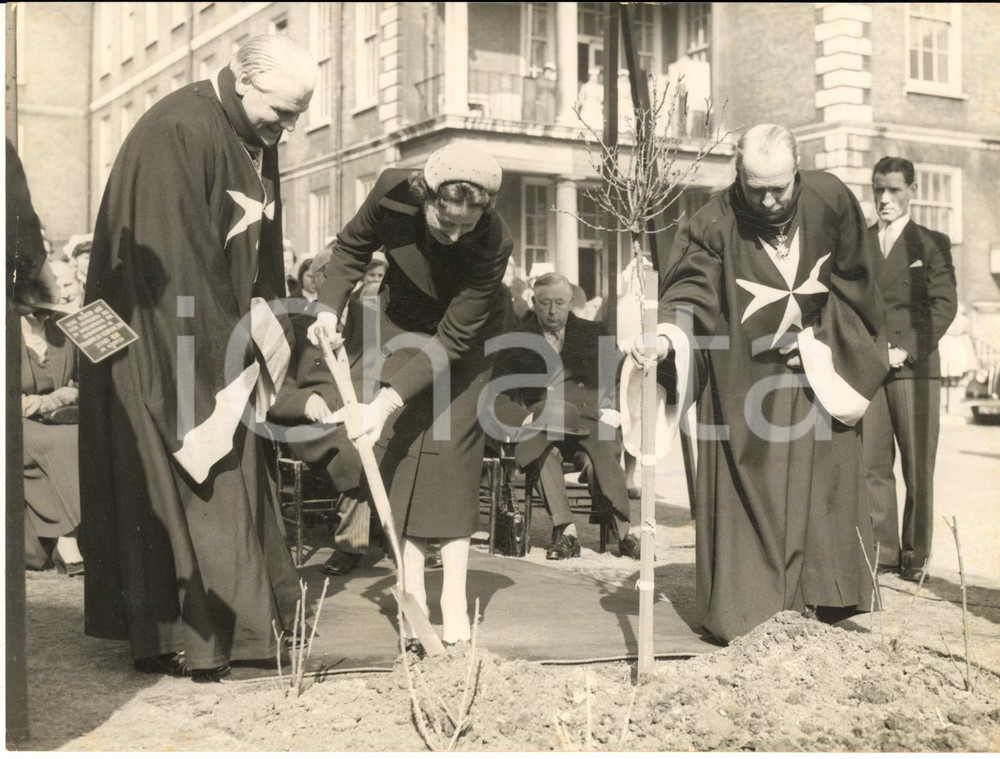 1956 LONDON Duchess of NORFOLK plants a tree in a garden with KNIGHTS OF MALTA