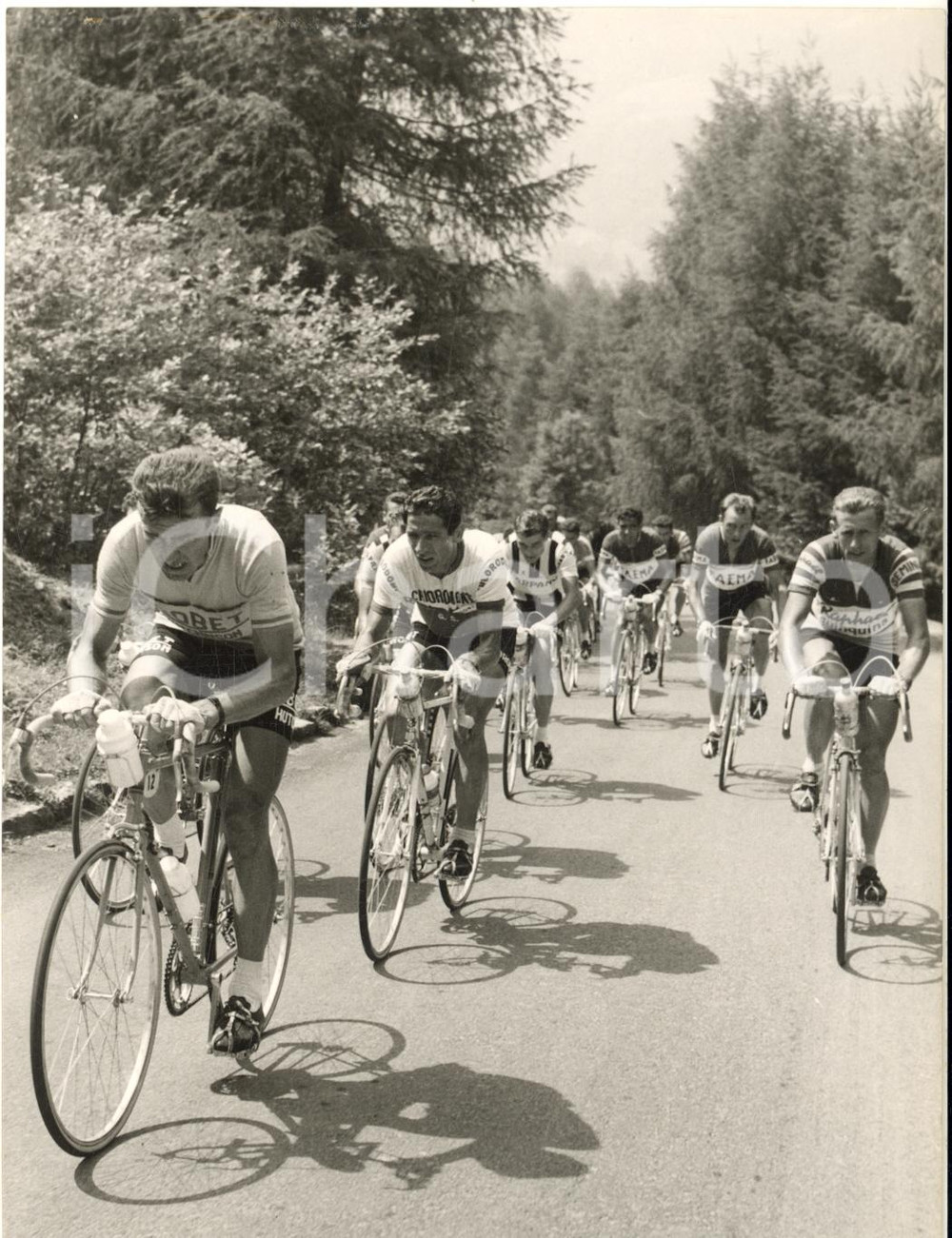 1957 GIRO D'ITALIA Louison BOBET Gastone NENCINI Jean BRANKART Charly GAUL Fotografia d'epoca con didascalia coeva al verso, scattata durante la 19^ tappa Trento-Levico Terme.CONDIZIONI: G (ma  minime piegature al margine superiore)FORMATO: 13x18 cm    originale e autentica 1
