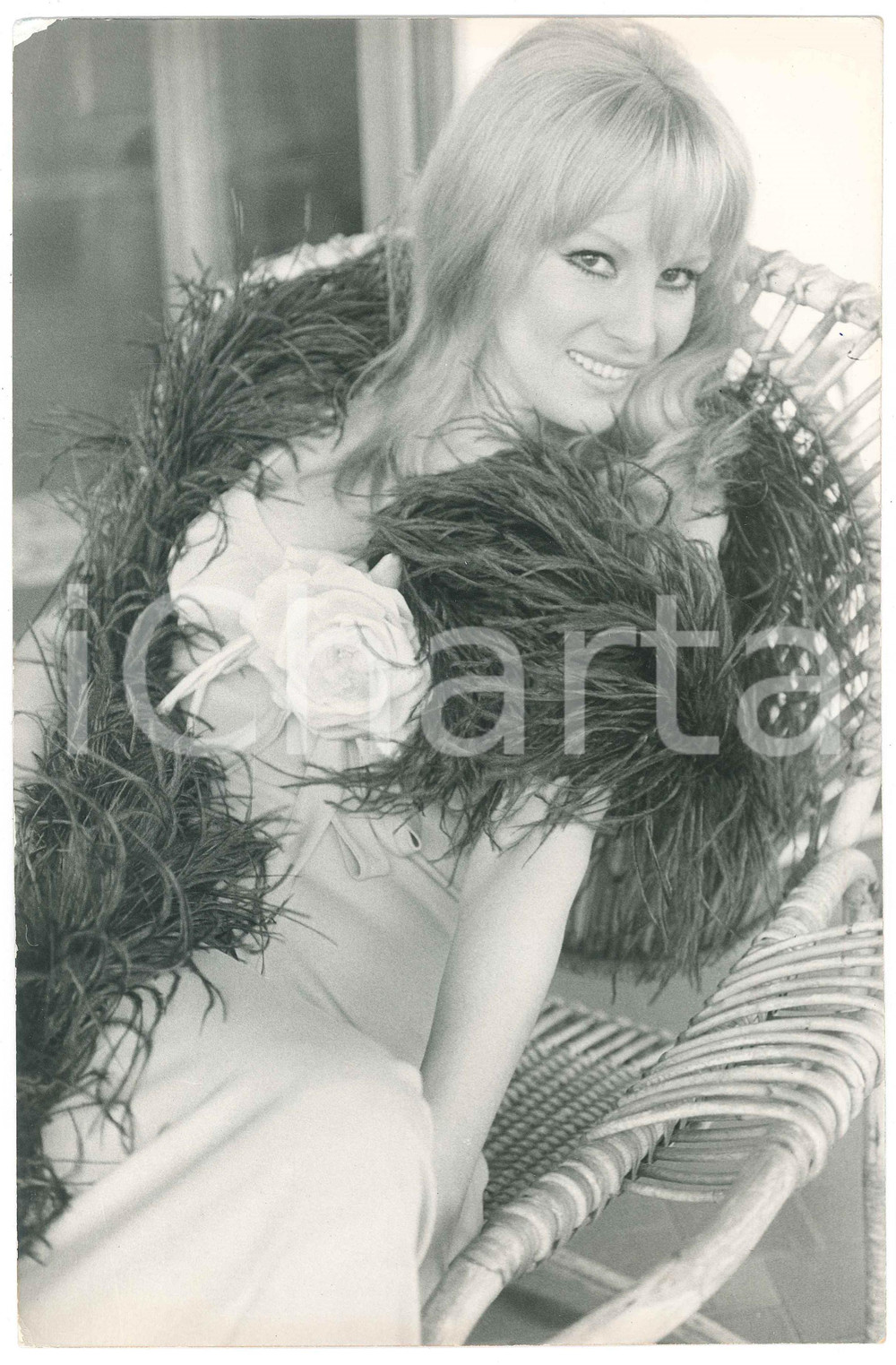 Fotografia d epoca originale 1975 ca CINEMA Antonella LUALDI in piume di struzzo  Ritratto  Foto 20x30 cm 1
