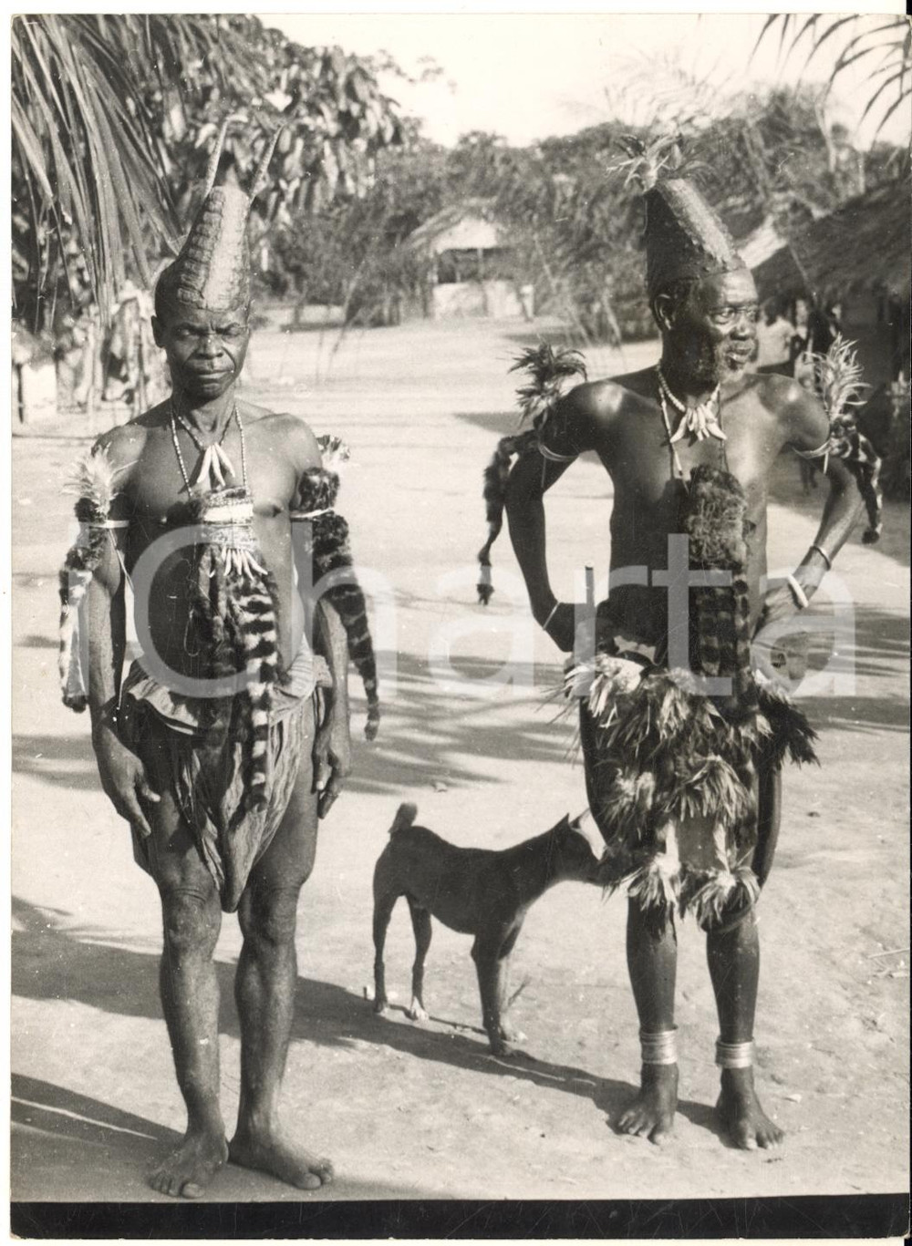1955 KIVU - CONGO BELGA - Due guaritori in costume tradizionale *Foto 13x18 cm