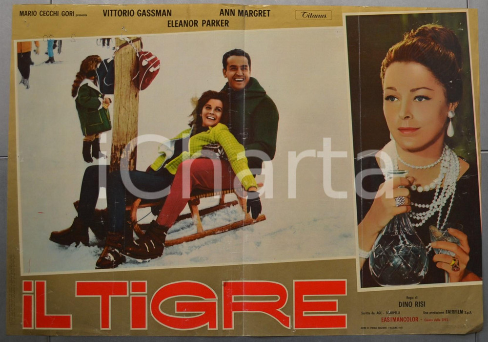 Materiale cinematografico d’epoca 1967 IL TIGRE Dino RISI Vittorio GASSMAN Ann MARGRET Fotobusta 60x40 cm 1