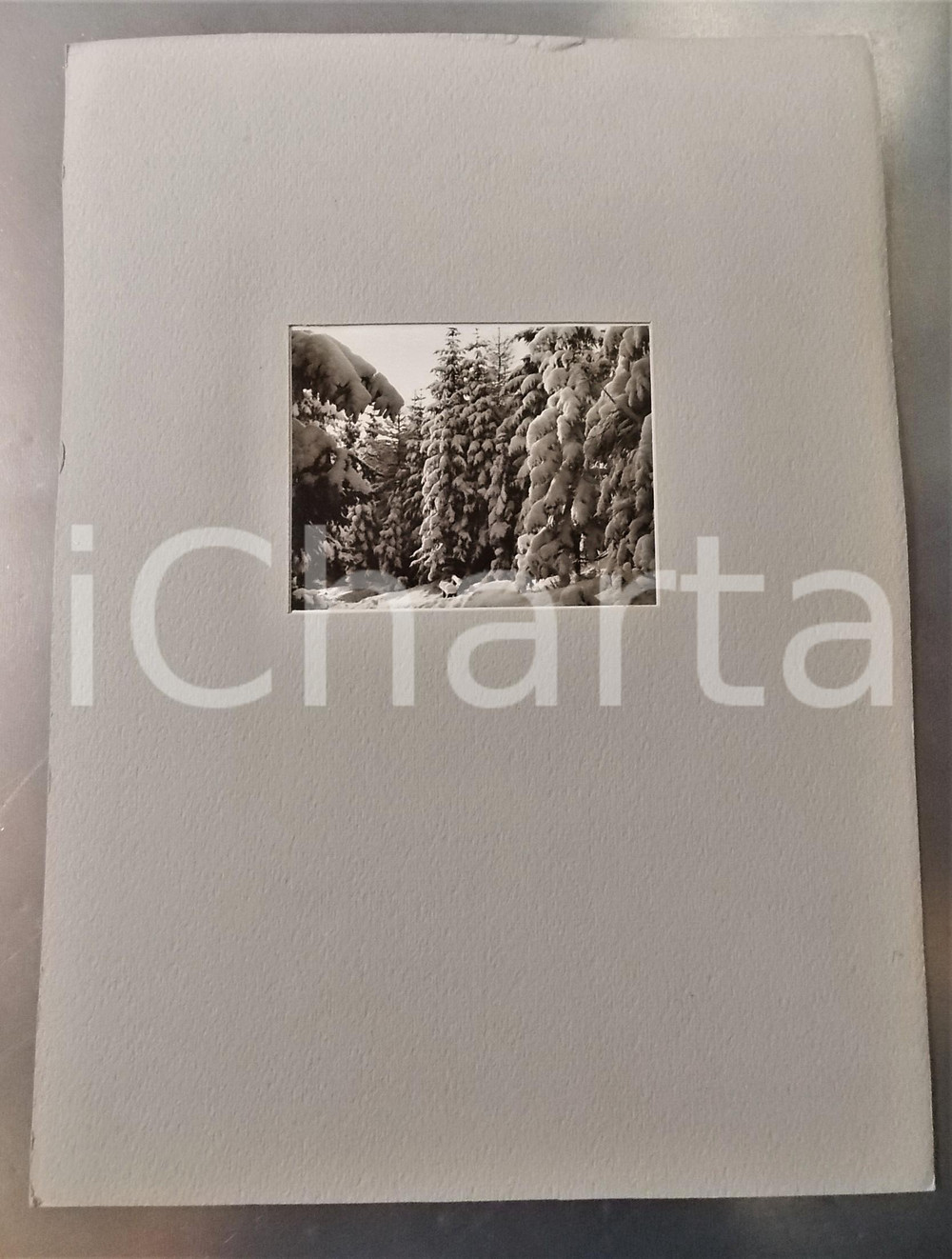 Fotografia d epoca originale 1940 MARIAZELL AUSTRIA Veduta del bosco d inverno Foto con passepartout 24x34 1