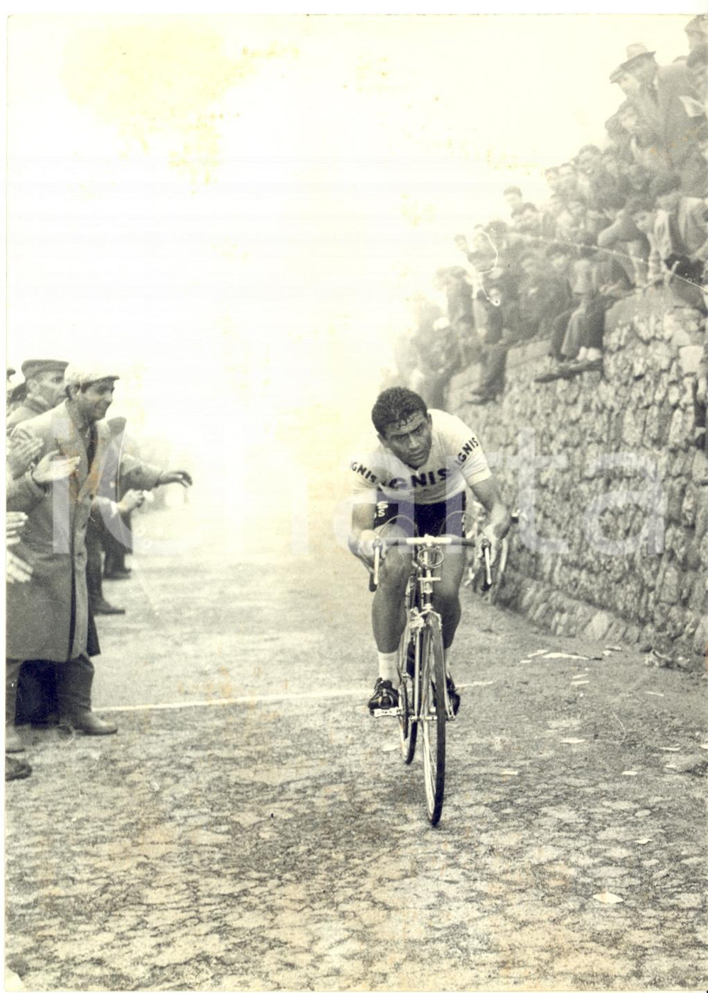 1960 Giro Ciclistico Provincia REGGIO CALABRIA Dante RIVOLA al Passo della Limina