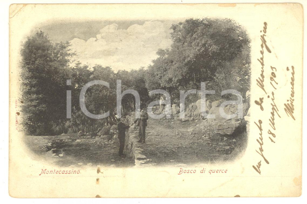 Cartolina originale da collezione 1900 ca MONTECASSINO Bosco sulla via che mena all ALBANETA Cartolina ANIMATA 1