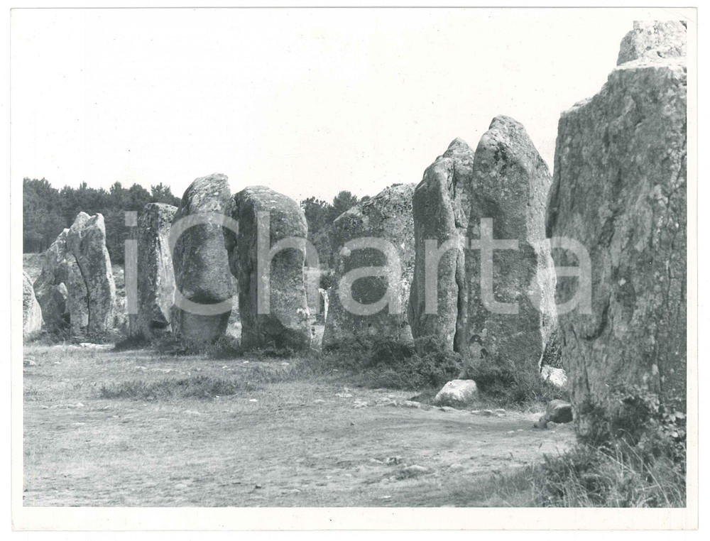Fotografia d epoca originale 1963 CARNAC  FRANCE Les Alignements  Foto ARTISTICA 24x18 cm 2 1