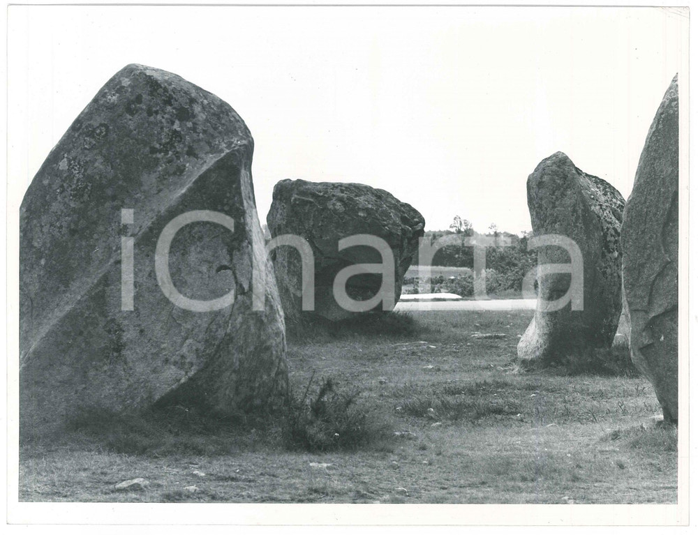 Fotografia d epoca originale 1963 CARNAC  FRANCE Les Alignements  Foto ARTISTICA 24x18 cm 1 1