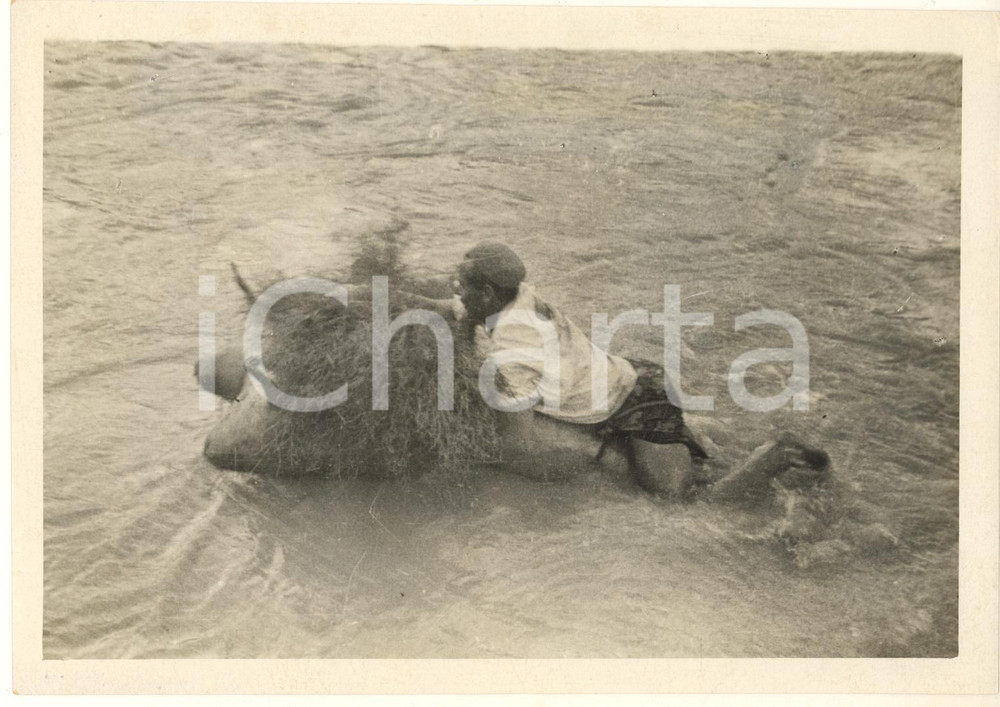 Fotografia d epoca originale 1932 PAMIR ex URSS Trasporto di merci via fiume su tursuki Foto 19x14 cm 1