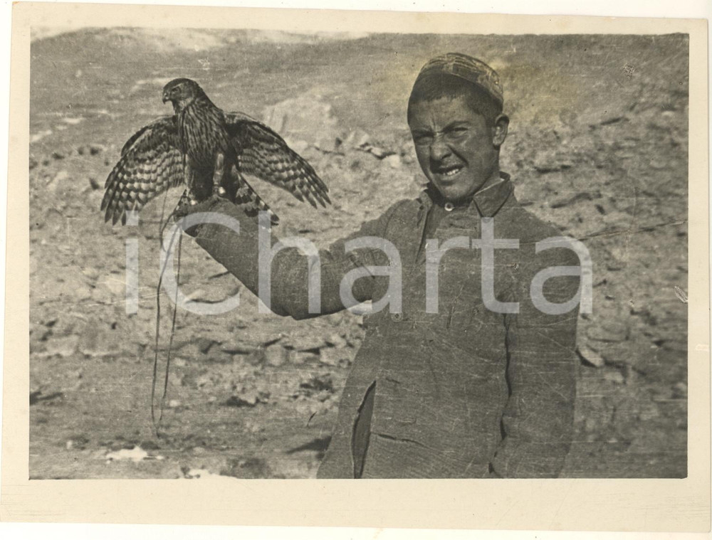 Fotografia d epoca originale 1932 PAMIR Uomo TAJIK con un falco a caccia di pernici montane  Foto 19x14 cm 1