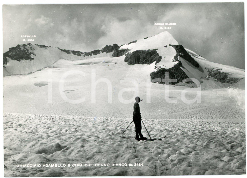 Cartolina originale da collezione 1954 GHIACCIAO DELL ADAMELLO Alpinista con pipa e Cima Corno Bianco  Cartolina 1
