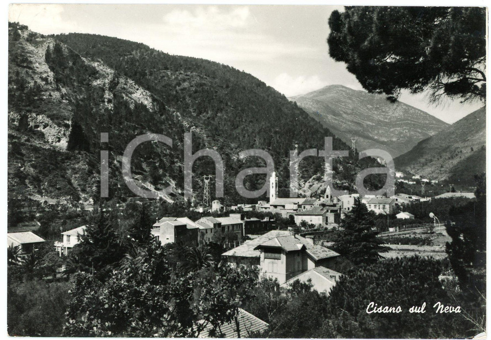 Cartolina originale da collezione 1955 ca CISANO SUL NEVA SV Panorama  Cartolina FG VG 1