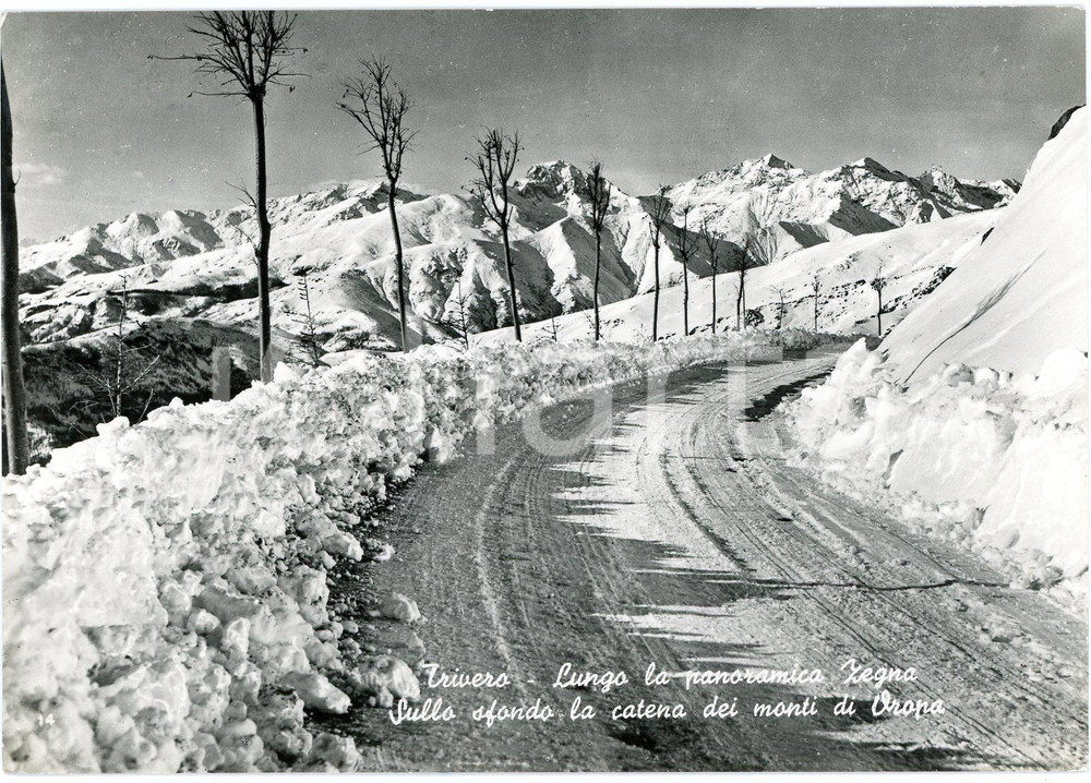 1962 TRIVERO (BI) Strada Panoramica Zegna e Catena Monti Oropa - Cartolina FG Cartolina d'epoca viaggiata GOOD/buono  Formato: 15x10 cm originale e autentica 1