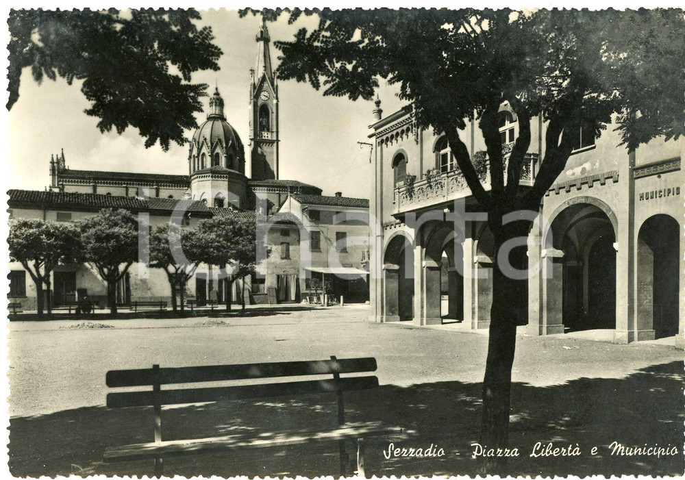 Cartolina originale da collezione 1950 ca SEZZADIO AL Piazza LibertÃ  e Municipio  Cartolina FG NV 1