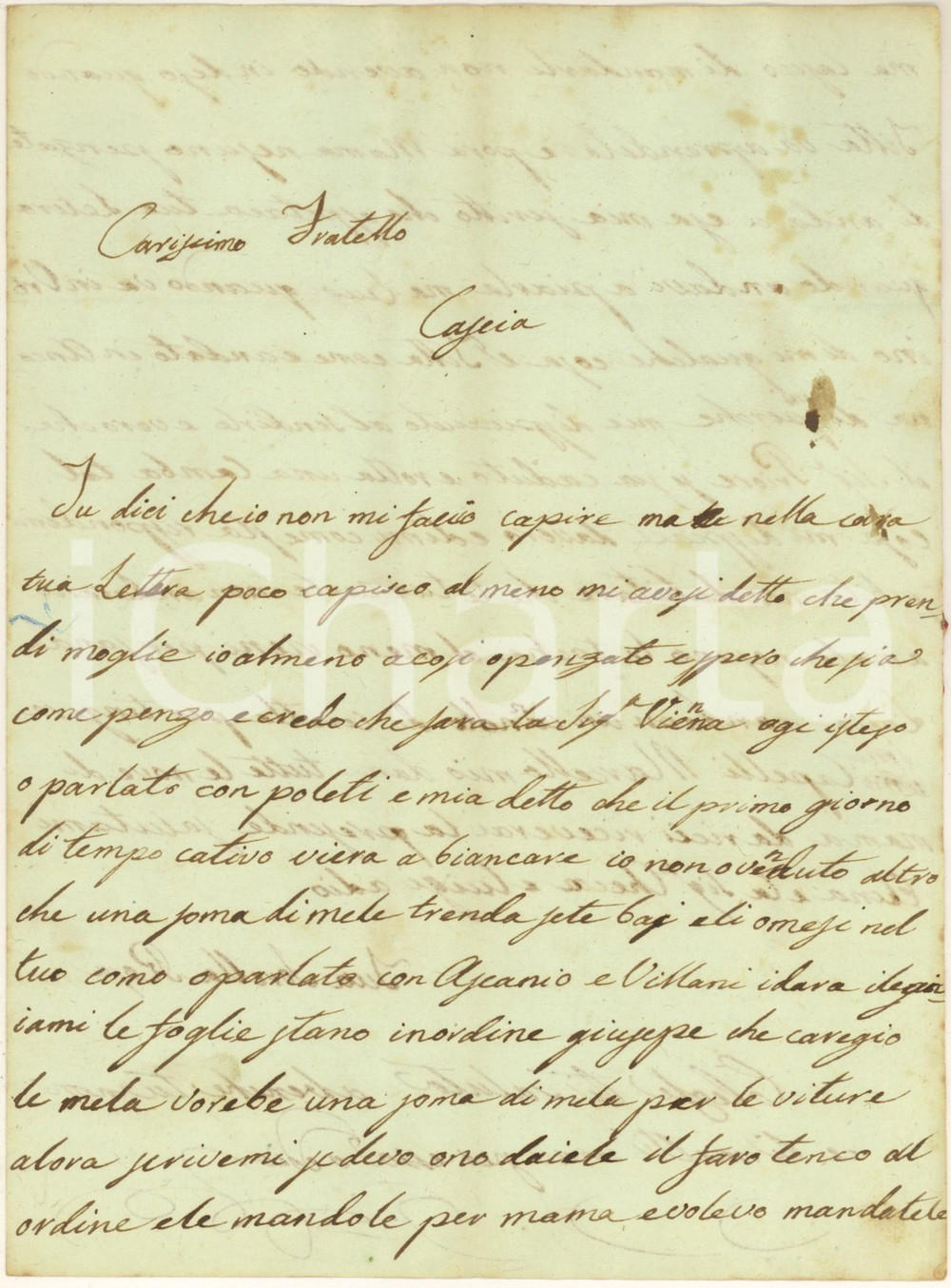 Manoscritto, lettera originale 1849 CASCIA Lettera Rosa LEONETTI per una soma di mele Autografo 1