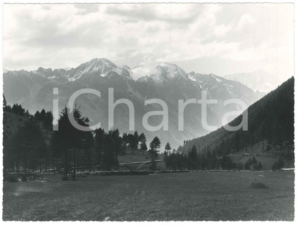 Fotografia d epoca originale 1955 ca VAL FRENZELA  Panorama verso l ADAMELLO  Foto Gualtiero LAENG FIRMATA 1