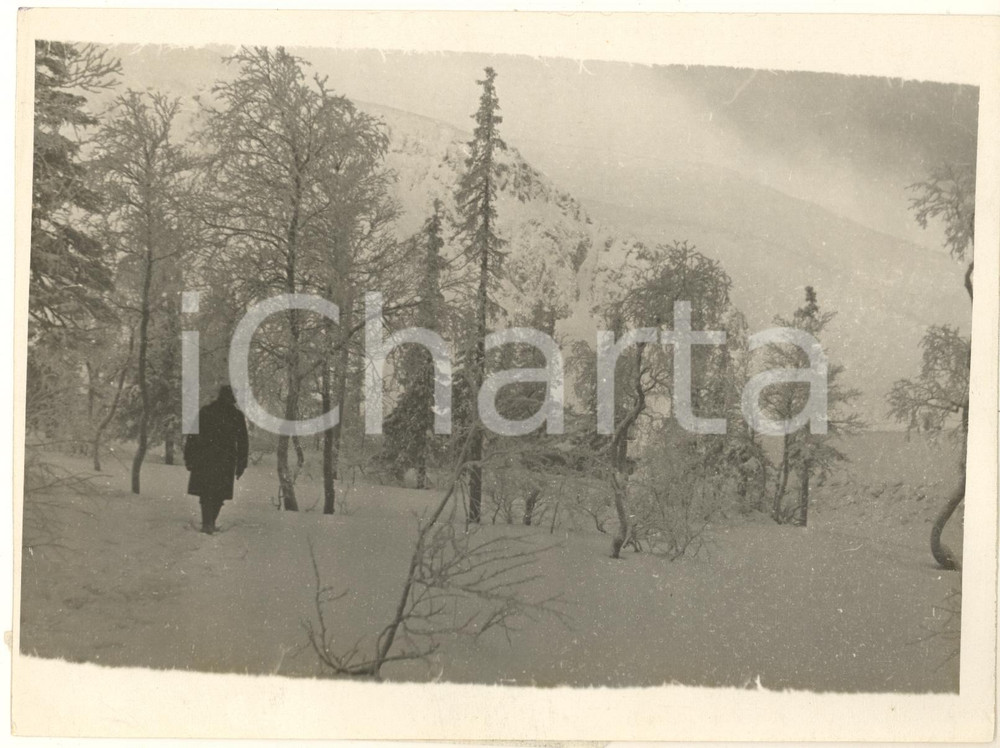 Fotografia d epoca originale 1935 KIROVSK URSS Nevicata in un parco cittadino  Foto 20x15 1