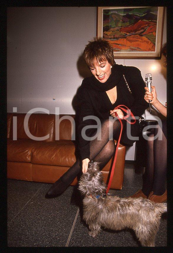 Fotografia d epoca originale Liza MINNELLI  Intervista con il cane Lilly  MILANO 1989 35mm vintage slide 2 1