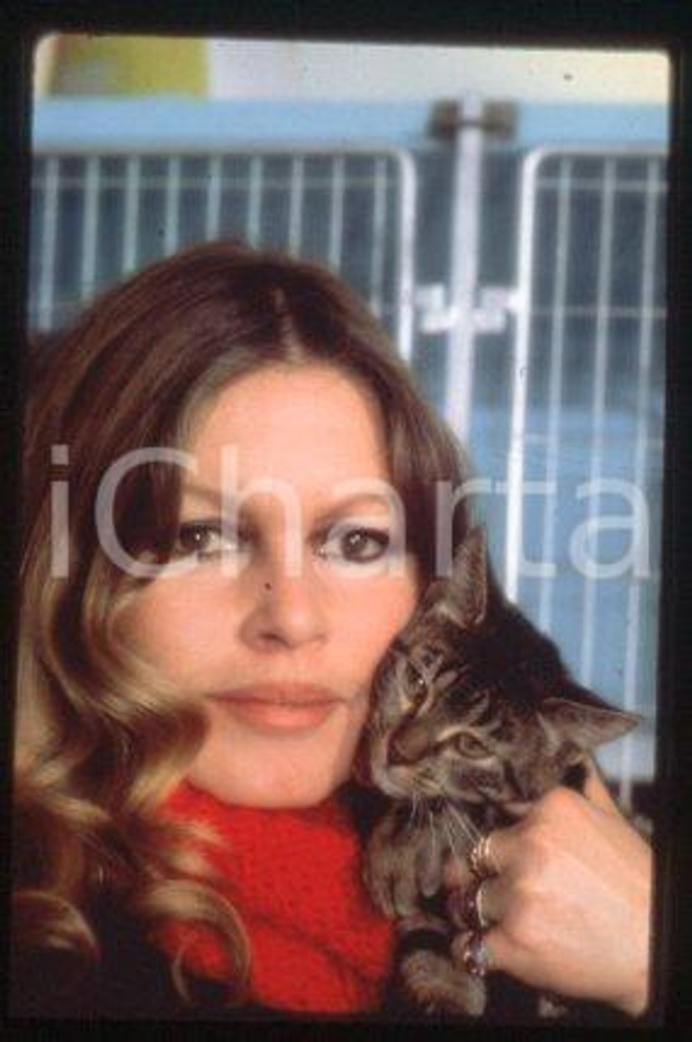 35mm vintage slide* 1970 ca CINEMA French actress Brigitte BARDOT (21)