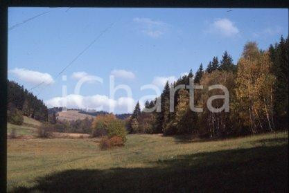 35mm vintage slide* 1990 ca CZECHOSLOVAKIA - NATURE Part of the village (13)