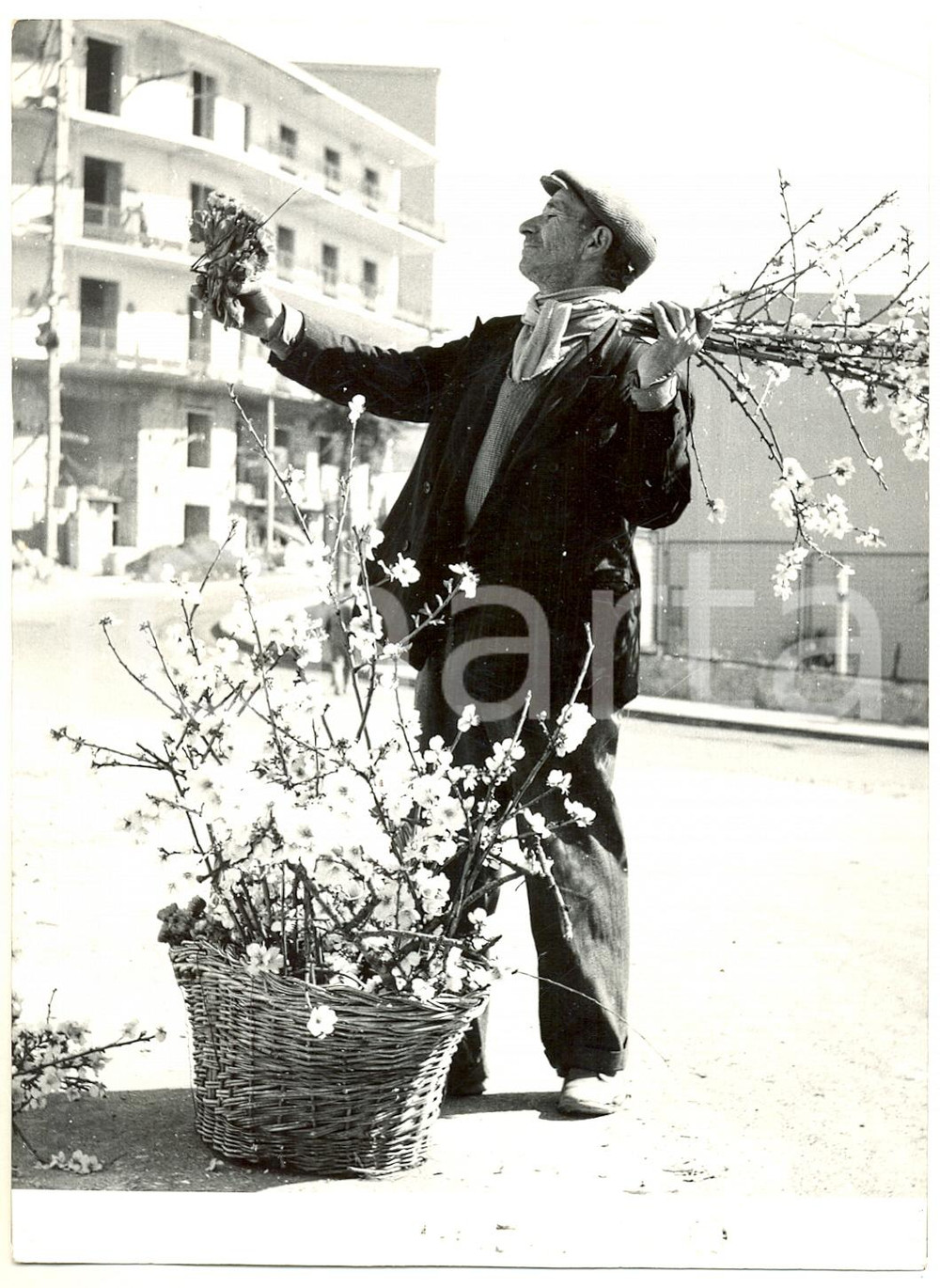 1953 NAPOLI Venditore ambulante con fiori di mandorlo - Foto 13x18