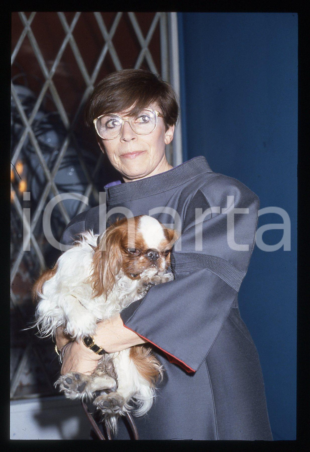 35mm vintage slide* 1995ca SPETTACOLO Franca VALERI Ritratto con cane (5)