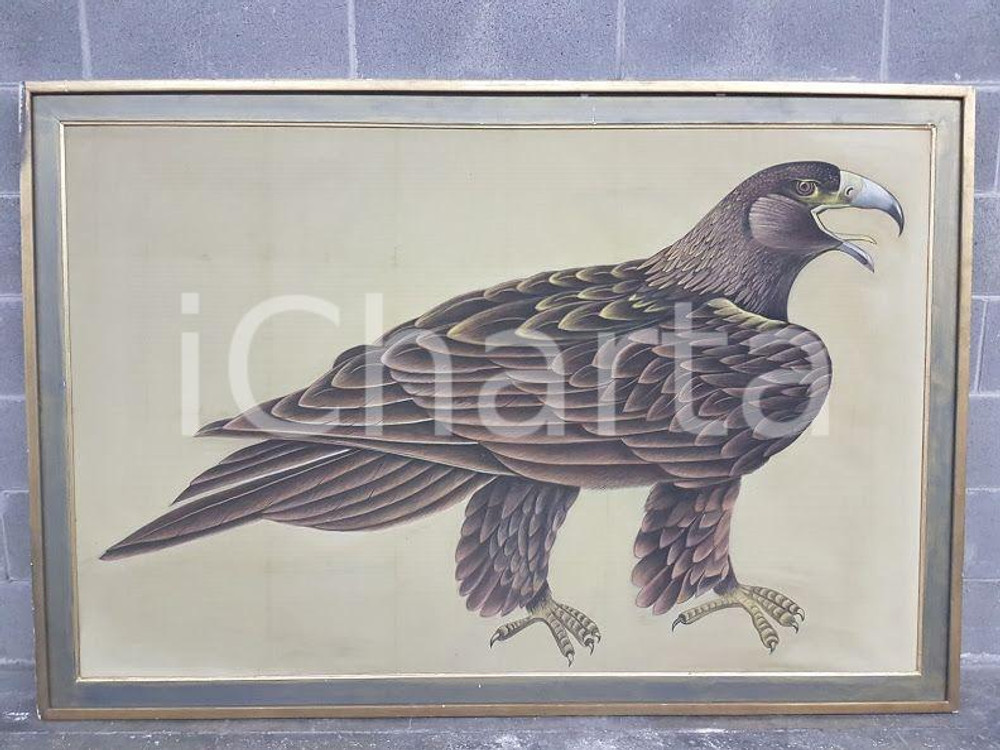 1970 CINA VINTAGE Aquila reale bruna - quadro 178,5 x 120,5 cm