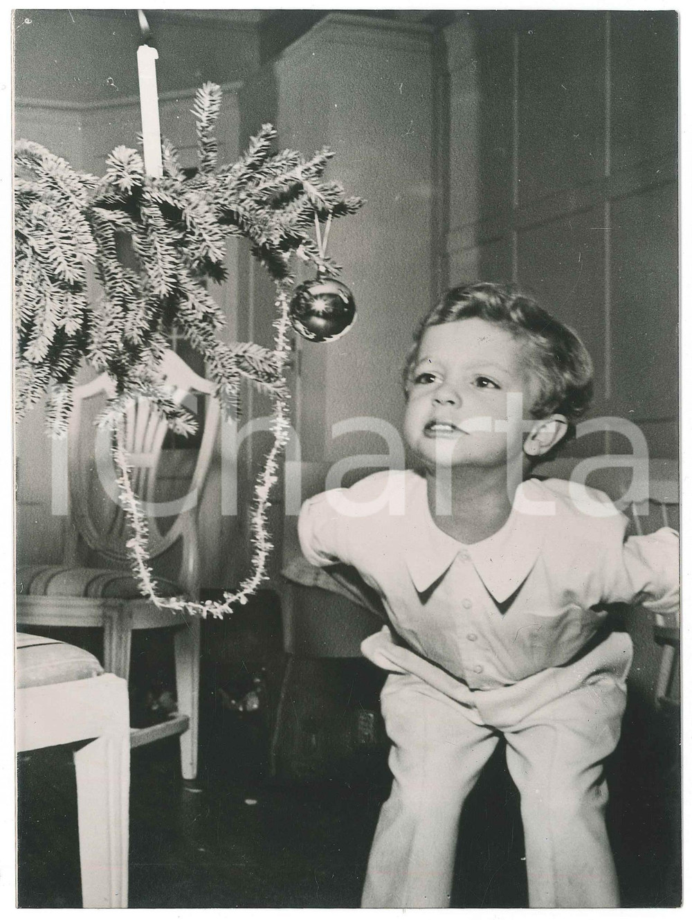 1950 SWEDEN 4-year-old Crownprince Carl Gustav admiring his Christmas tree  Fotografia d'epoca, con didascalia al verso.  FAIR/discreto lievi piegature angolari Formato: 15x20 cm originale e autentica 1
