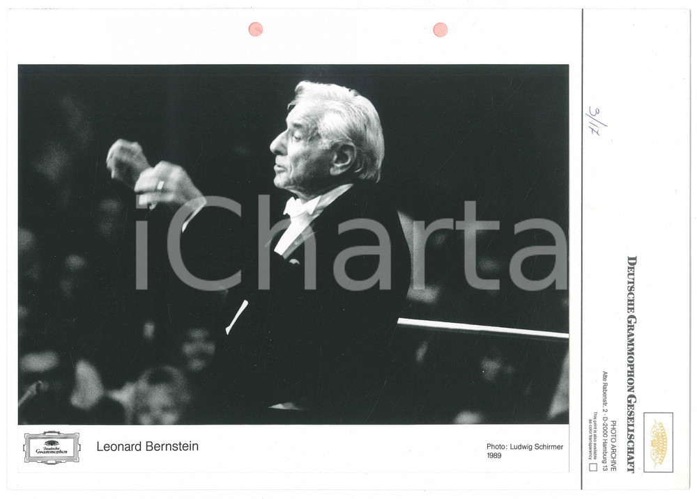 1989 MUSICA Leonard BERNSTEIN dirige l'orchestra - Foto DEUTSCHE GRAMMOPHON Fotografia d'epoca, montata su cartoncino. GOOD/buono Fori da classificatore al margine sinistro Formato: 21x30 cm / 24x15 cm originale e autentica 1