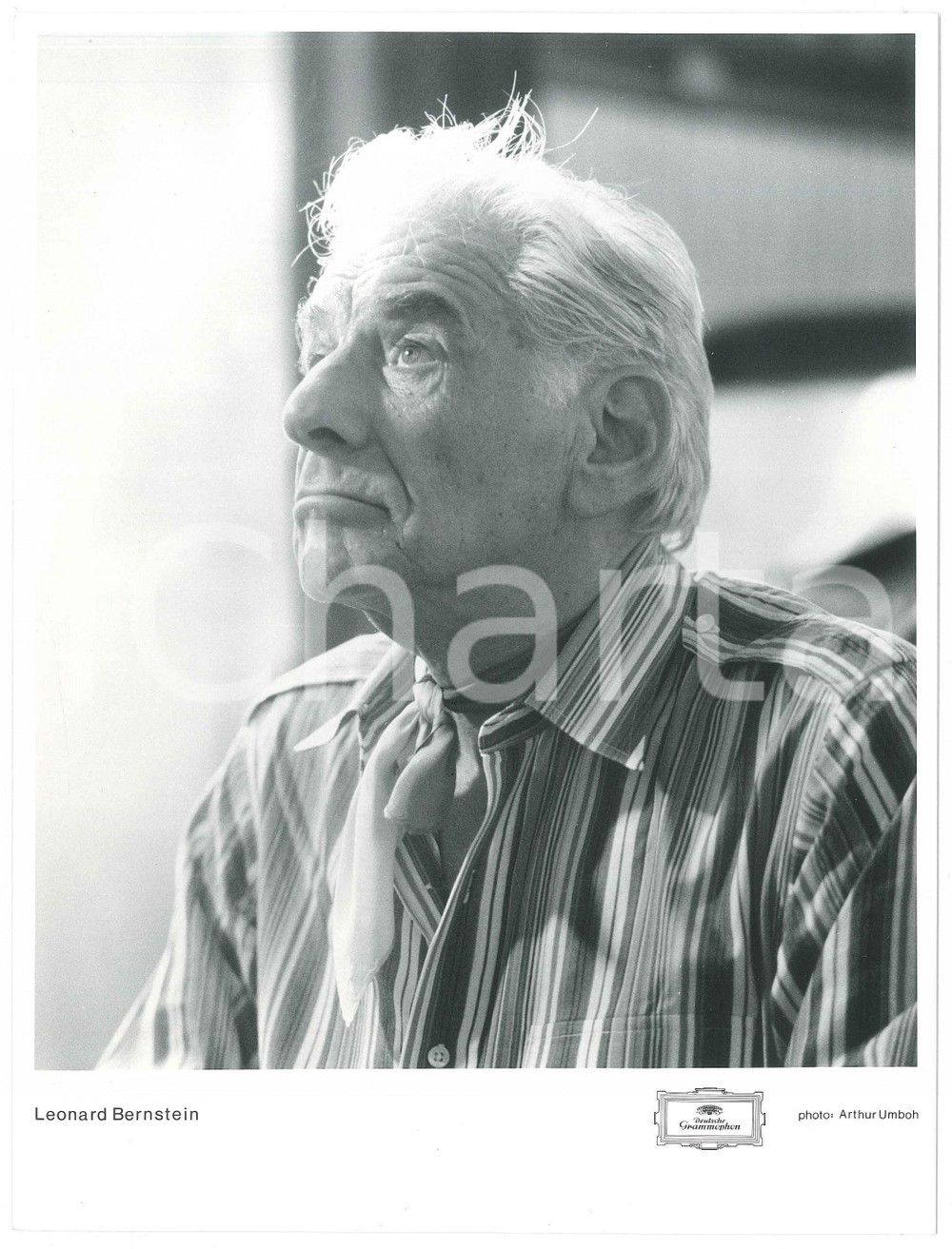 1980 ca MUSICA Leonard BERNSTEIN Ritratto del compositore - Foto 17x23 cm