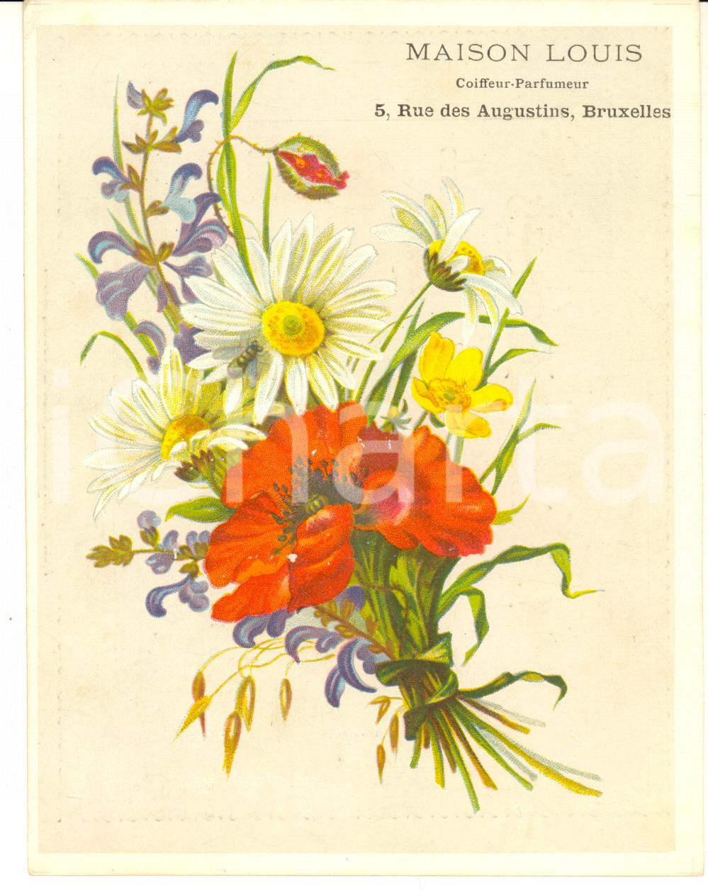 1900 ca BRUXELLES Maison LOUIS Coiffeur-Parfumeur - Carte publicitaire (4) 12x15  Cartoncino pubblicitario d'epoca, originale, con tariffario al verso.CONDIZIONI: GFORMATO: 12x15 cm    originale e autentica 1