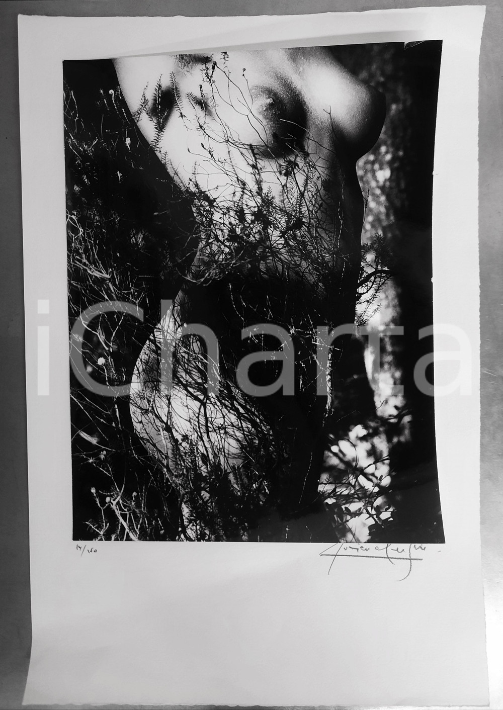 1973 Lucien CLERGUE - Nu fÃ©minin - Nude woman - Original SIGNED photo "GENESE" Fotografia originale di Lucien Clergue, montata su carta, con firma autografa dell'artista.Velina protettiva.La fotografia era in origine parte del portfolio "Gen&egrave;se. 50 photographies sur des th&egrave;mes d'Amers choisis par Saint-John Perse", editore Pierre Belfond (Paris).   FAIR/discreto la fotografia presenta un millimetrico strappo al lato superiore FORMATO: 37x56 cm (carta); 30x40 cm (fotografia) originale e autentica 1