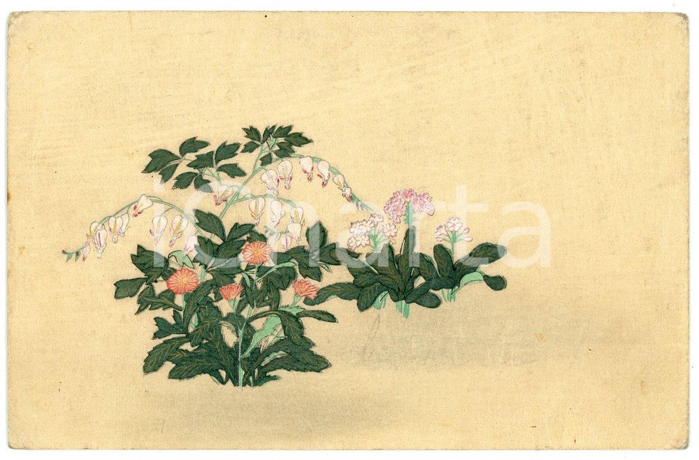 1900 ca JAPAN Flowers - Illustrated old postcard  Cartolina postale d'epoca, non viaggiata.CONDIZIONI: POOR (piegature marginali)FORMATO: FP    originale e autentica 1
