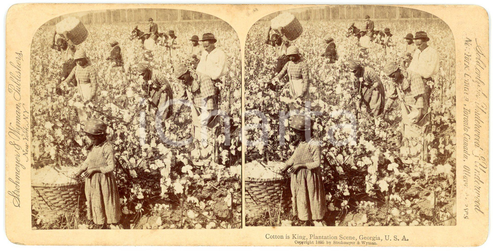 1895 GEORGIA (USA) Cotton is king - Plantation scene - Stereoview STROHMEYER Fotografia stereoscopica d'epoca, su cartoncino rigido.EDITORE: Strohmeyer &amp; Wyman, New YorkFORMATO: 18x9 cmCONDIZIONI: G     originale e autentica 1