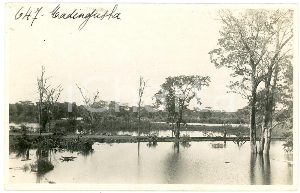 1930 ca CONGO BELGE - KATANGA - MWADINGUSHA *Photo L. GABRIEL 647 Fotografia originale d'epoca, in formato cartolina postale.FOTOGRAFO: L&eacute;opold Gabriel - Panda - Katanga  GOOD/buono  Formato: 14x9 cm originale e autentica 1