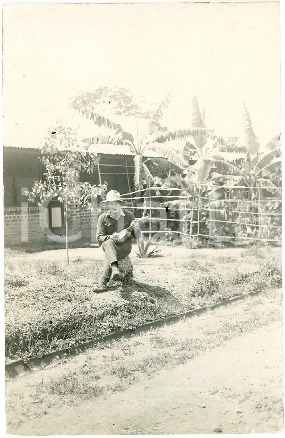 1930 ca CONGO BELGE - Colon joue de la mandoline - Photo 9x14 cm Fotografia d'epoca, in formato cartolina postale. GOOD/buono  Formato: 9x14 cm originale e autentica 1