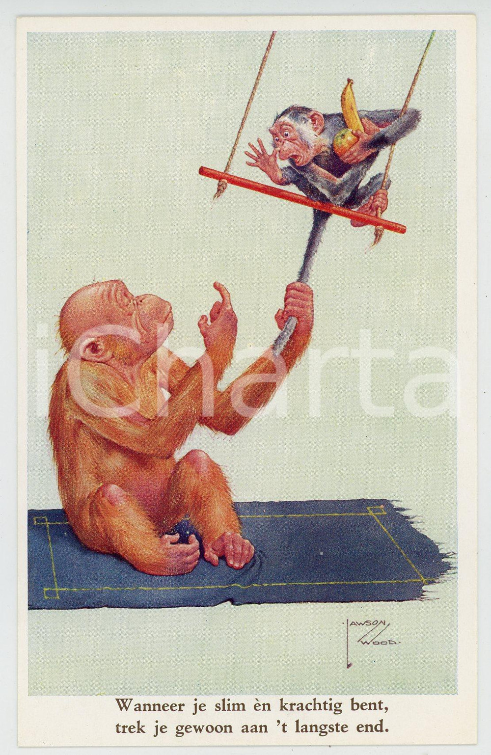 1920 ca ANIMALS Artist Lawson WOOD Monkey dad - Postcard GRAN'POP Series (5)  Cartolina postale d'epoca, non viaggiata.CONDIZIONI: GOODFORMATO: FP    originale e autentica 1