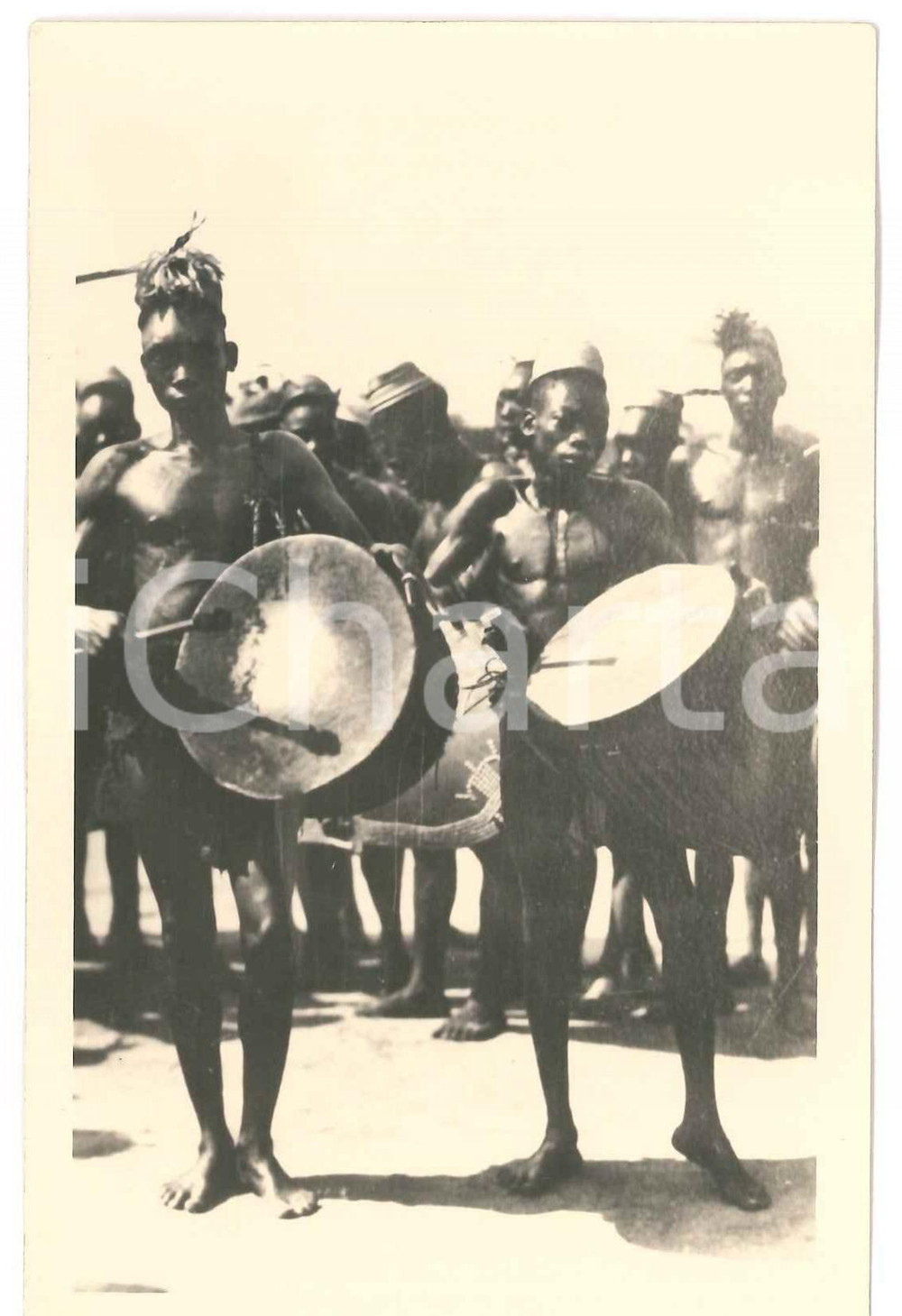1930 ca C. ZAGOURSKI «L'Afrique qui disparaît» CONGO BELGE Mangbetu tam-tam n.70  Fotocartolina postale d'epoca, appartenente alla serie &laquo;L'Afrique qui dispara&icirc;t&raquo; del fotografo Casimir Zagourski (L&eacute;opoldville).N&deg; 70, non viaggiata.CONDIZIONI: GFORMATO: 9x14 cm    originale e autentica 1