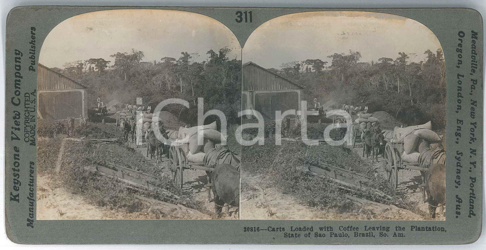 1910 ca SAO PAULO (BRAZIL) Carts with Coffee Leaving the Plantation *Stereoview Fotografia stereoscopica d'epoca, su cartoncino rigido, n&deg; 21818 .EDITORE: Meadville, Pa. - Keystone View Company  FAIR/discreto tracce di umidità al lato superiore Formato: 18x9 cm originale e autentica 1